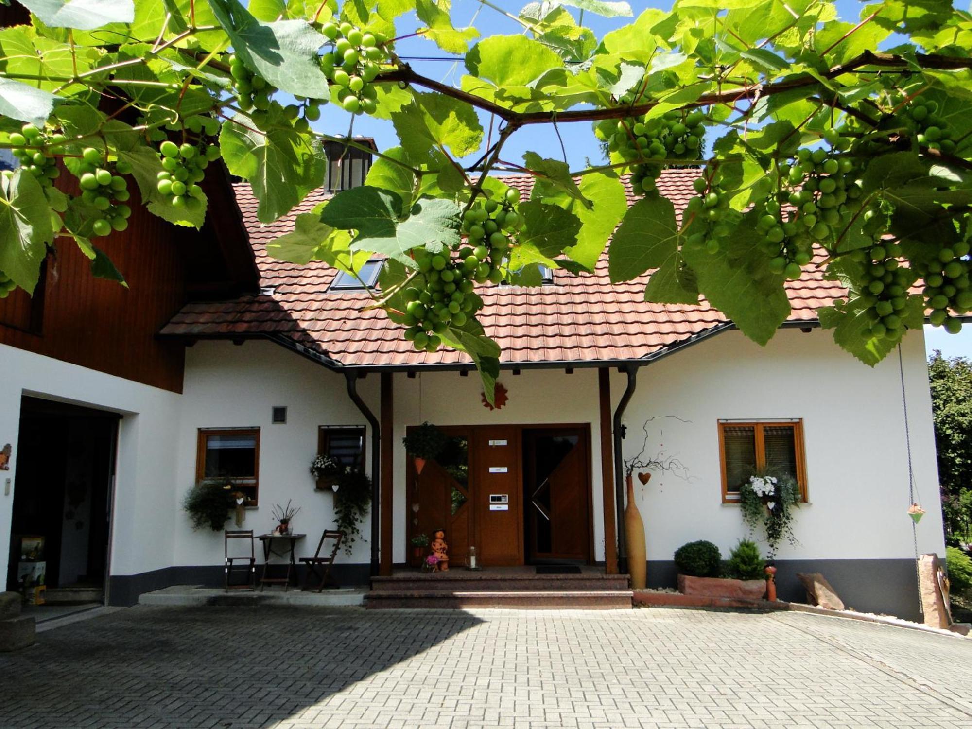 Ferienwohnung Hotte'S Huette Ettenheim Exteriér fotografie